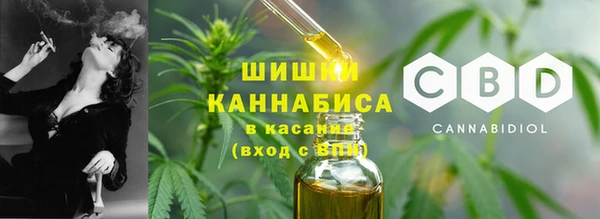 ГАЛЛЮЦИНОГЕННЫЕ ГРИБЫ Беломорск