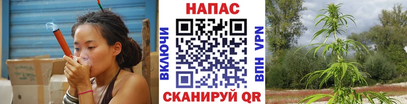 Шишки марихуана White Widow Балтийск